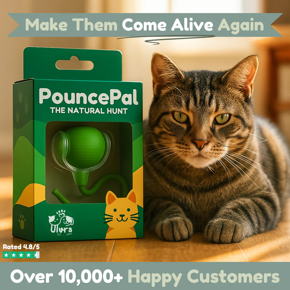 PouncePal™